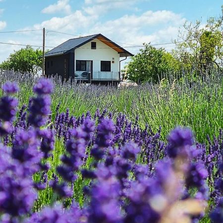 Vacation Home - Nest Kalnik Dış mekan fotoğraf
