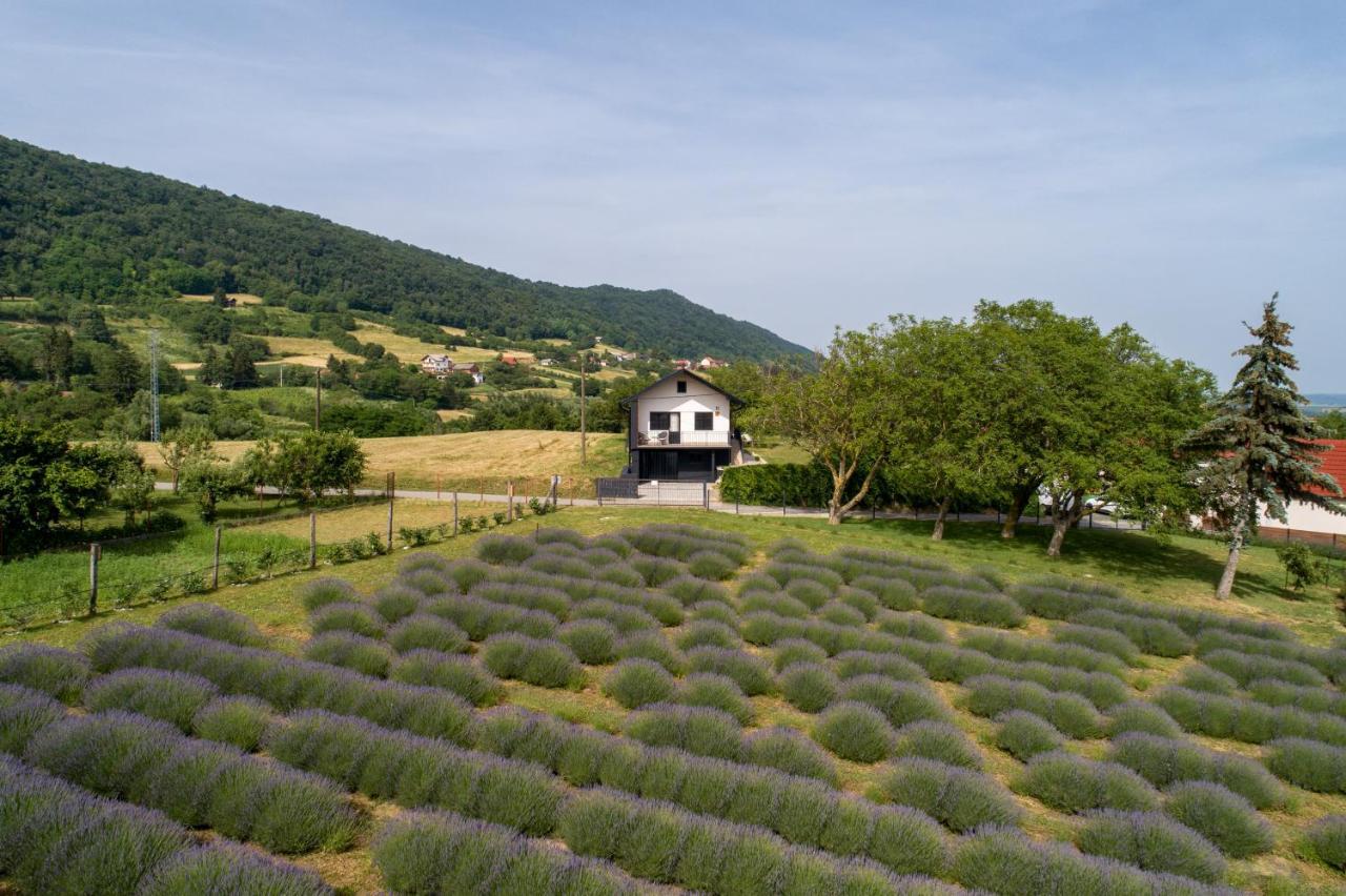 Vacation Home - Nest Kalnik Dış mekan fotoğraf