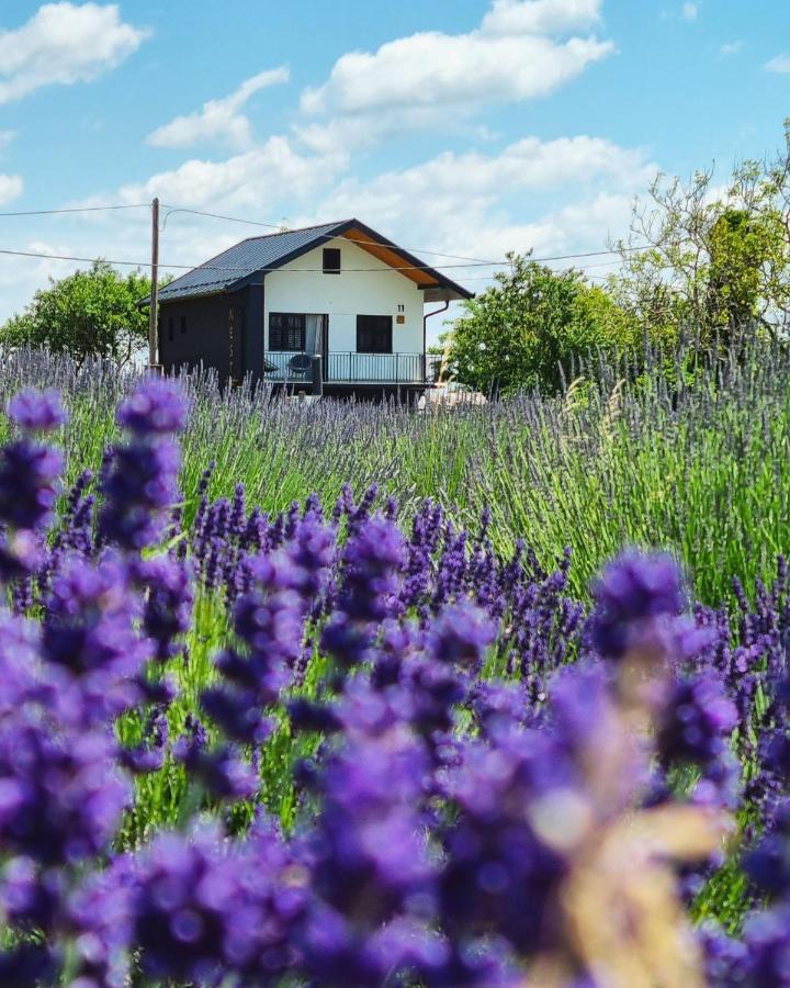 Vacation Home - Nest Kalnik Dış mekan fotoğraf