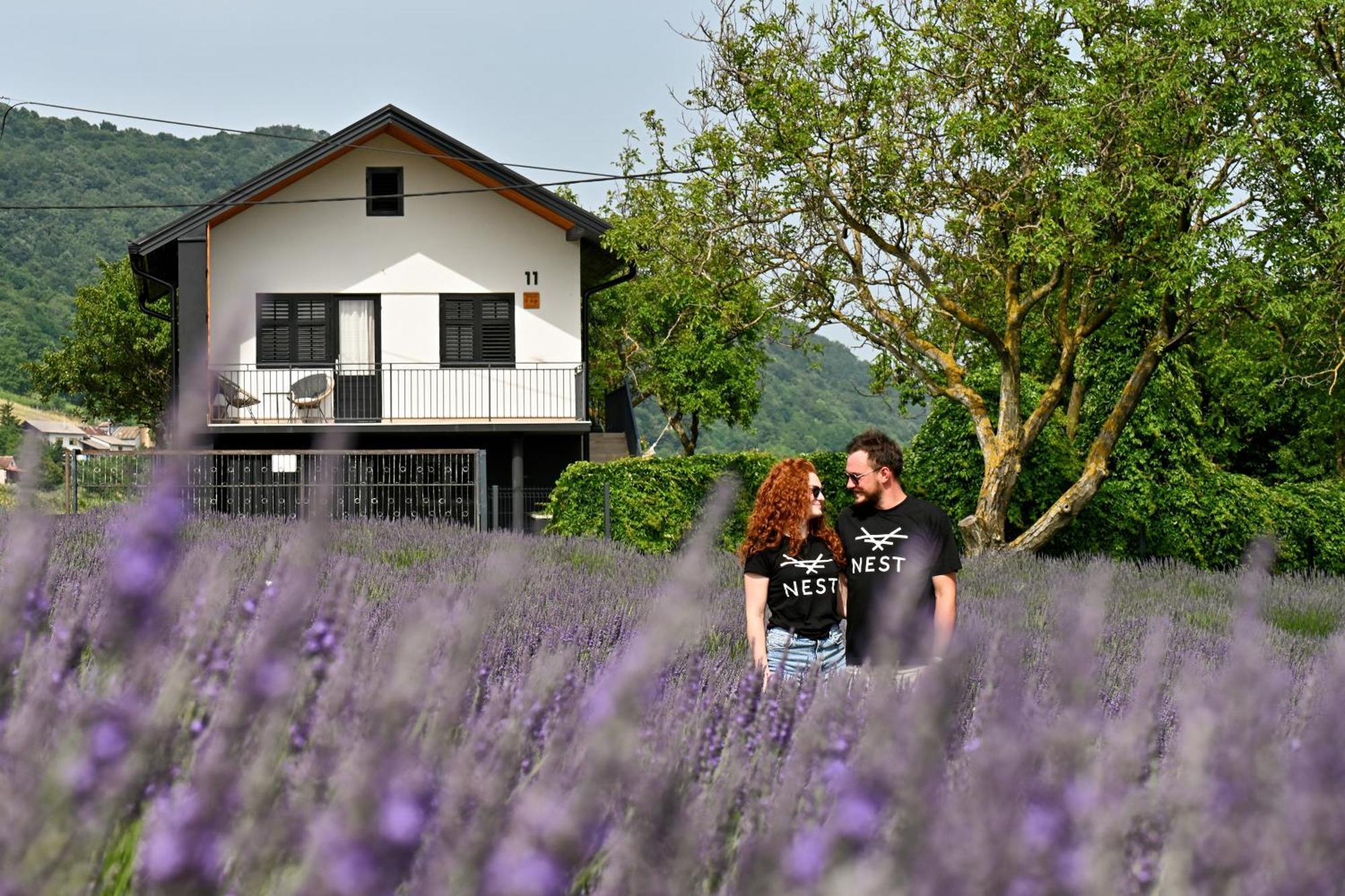 Vacation Home - Nest Kalnik Dış mekan fotoğraf